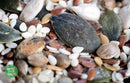 Wholefood Earth: Omega Seed Mix | GMO Free | Vegan | Dairy Free | No Added Sugar - Wholefood Earth® - 5056351404382