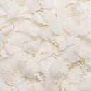 Wholefood Earth: Organic Coconut Chips | Raw | GMO Free - Wholefood Earth®