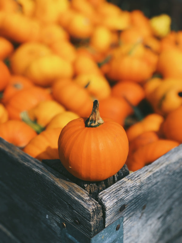 Pumpkin: Autumn's Superfood
