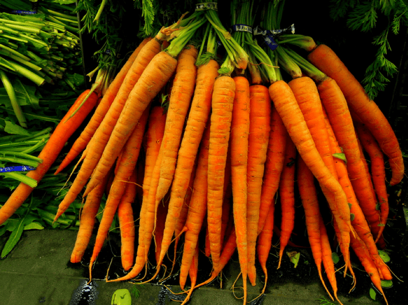 Carrots: Crunchy, Orange, and Loaded With Health Benefits | Wholefood Earth®
