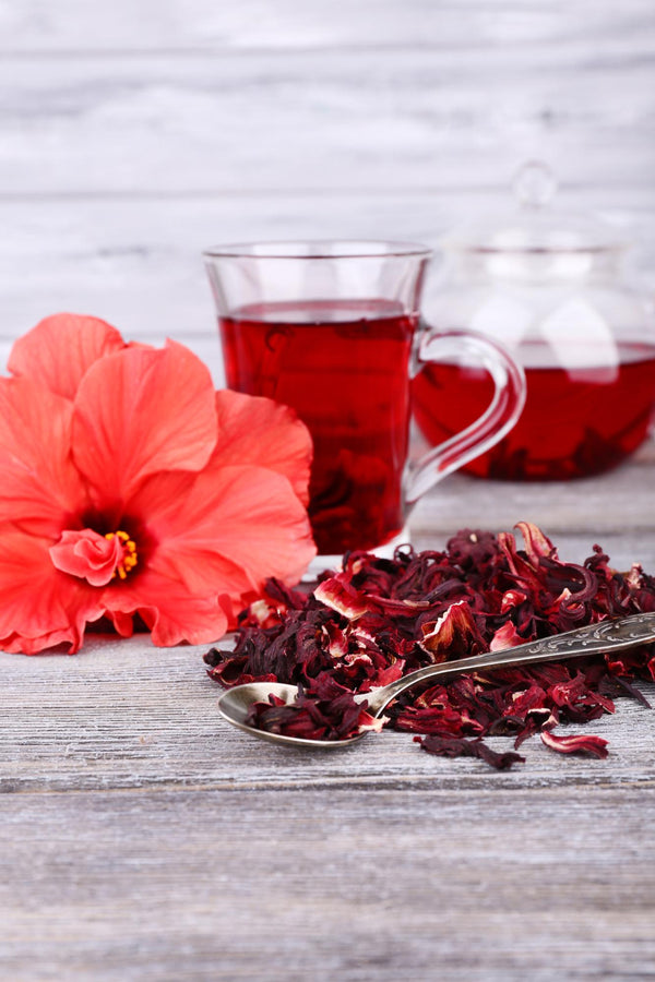 Dried hibiscus flowers - delicious infusion full of health benefits