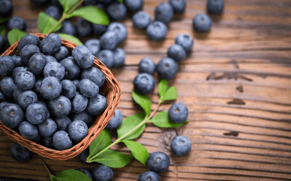 If You Aren't Eating Blueberries, You Should Be! | Wholefood Earth®