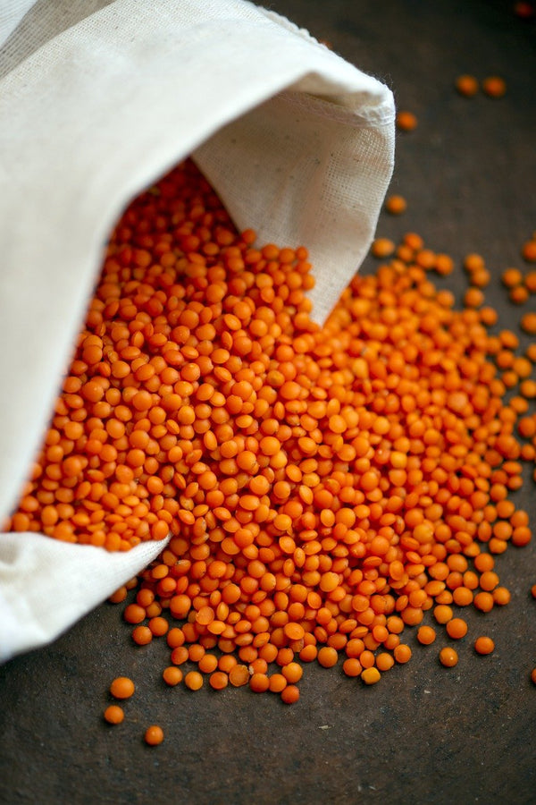 Lentils - The best protein source and the perfect legume to combat climate change