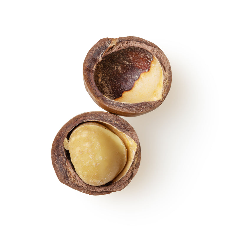 Macadamia Nuts - Everything you need to know