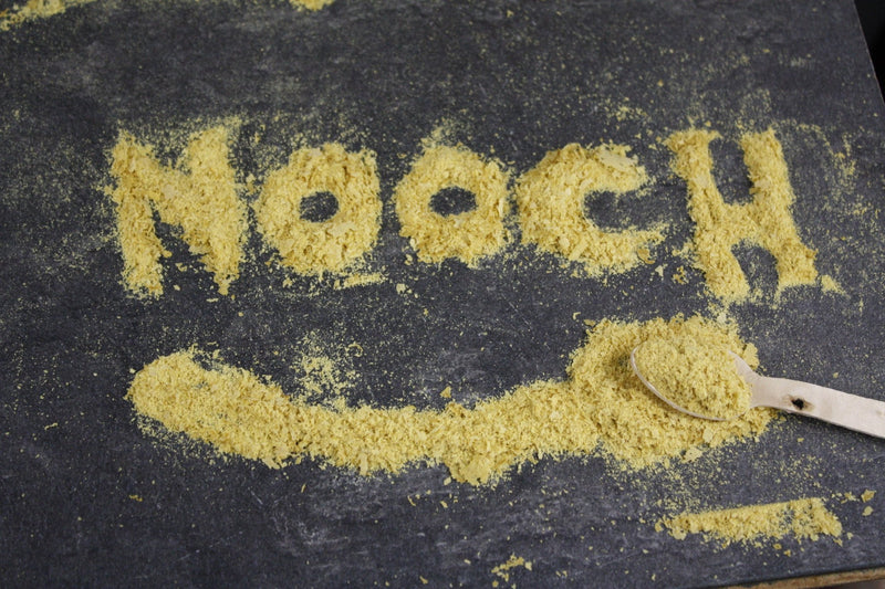 Nooch Knowledge: How Much do you Really Know About Nooch? | Wholefood Earth®