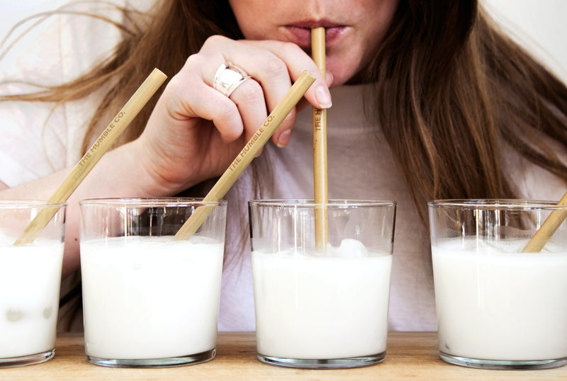 Plant-based Milk vs Dairy Milk - Which is better? | Wholefood Earth®