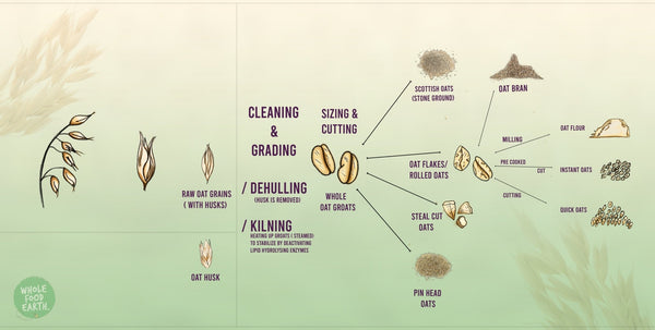 The Difference Between Different Type of Oats | Wholefood Earth®