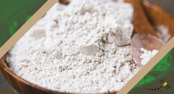 What is Diatomaceous Earth? | Wholefood Earth®