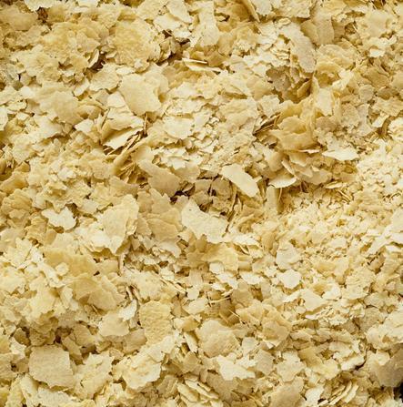 What is Nooch Made Of? (Nutritional Yeast) | Wholefood Earth®