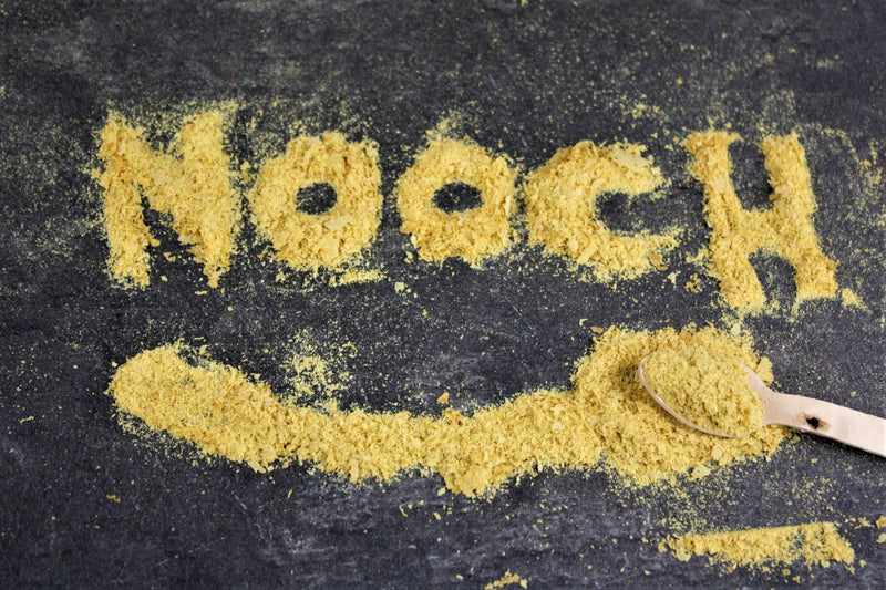 What Is Nutritional Yeast (Nooch)? | Wholefood Earth®