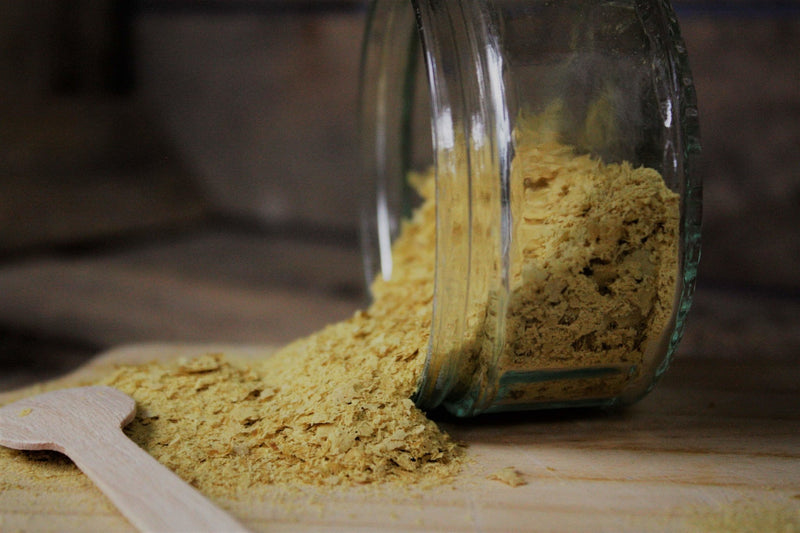 What is the Difference Between Nutritional Yeast & Nutritional Yeast Seasoning? | Wholefood Earth®