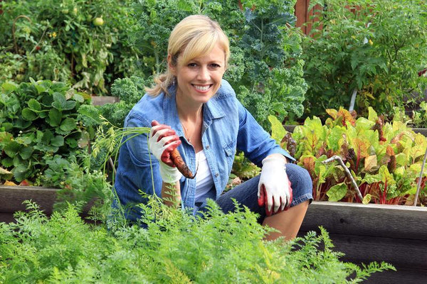 Why You Should Take Up Gardening This Spring | Wholefood Earth®