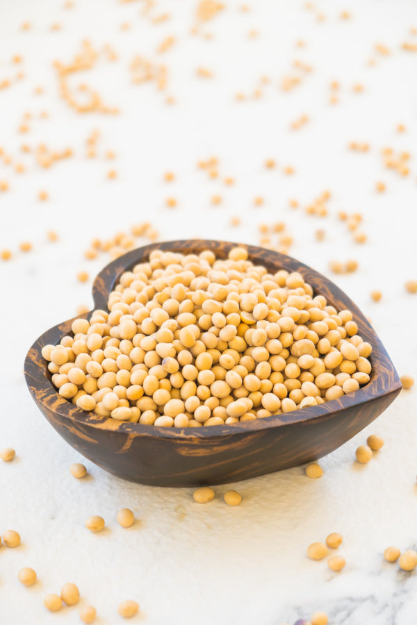 Soy, beans, whole grains and nuts may prevent breast cancer recurrence - New study