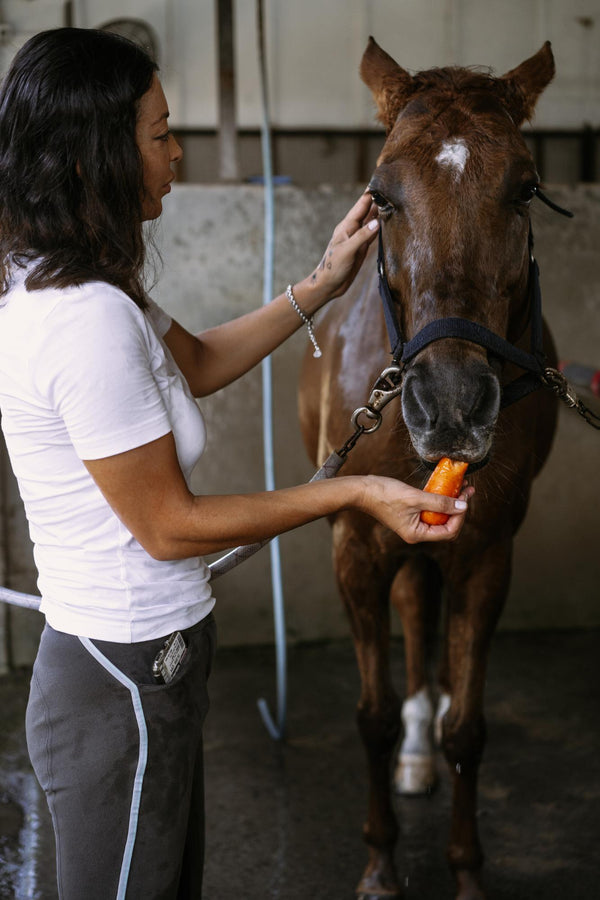 Himalayan salt lick - the best treat for your horse