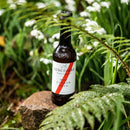 Hot Ginger Beer 270ml - Organic - Luscombe