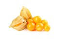 Physalis