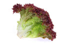 Lollo Rosso Lettuce (Loose-Leaf)