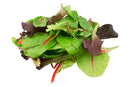Baby Leaf Lettuce (100g)