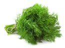 Dill (100g)
