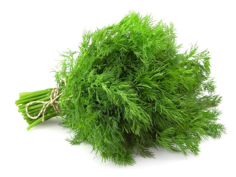 Dill (100g)