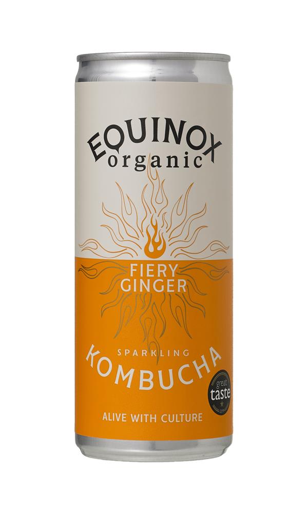 Organic Kombucha With Ginger - Equinox - 250ml