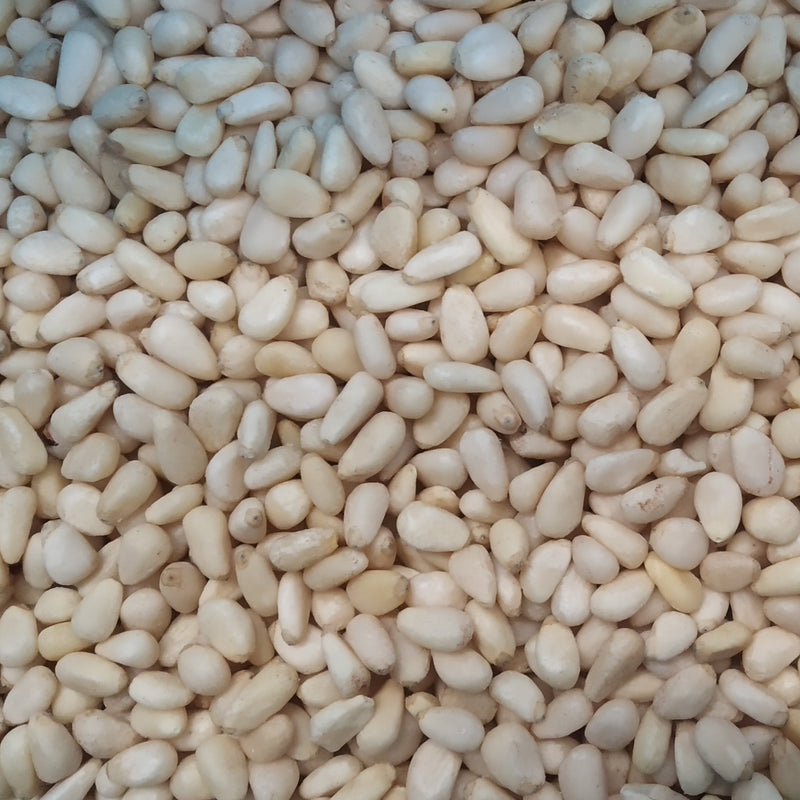 Pine Nuts