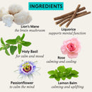 IngredientsoftheTheHerbtenderOrganicHerbalTeaAndBreathe