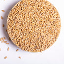Organic Spelt Grain - Serious Grains