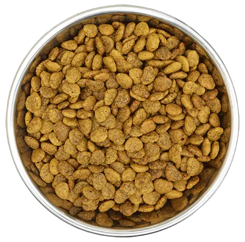 Cat Food Adult Original - Benevo - 2kg