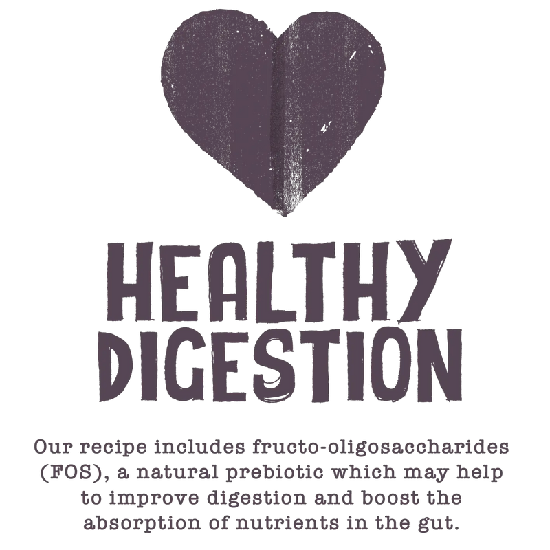 Cat Food Adult Original - Benevo - 2kg