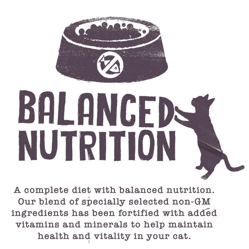 Cat Food Adult Original - Benevo - 2kg