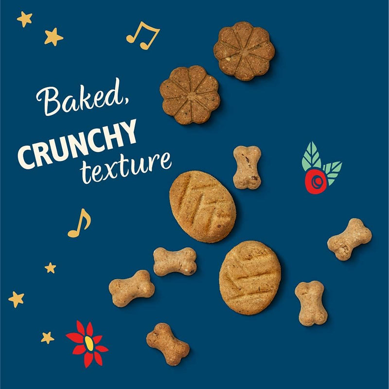 Dog Christmas Advent Calendar - Lilys Kitchen - 100g