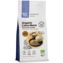 Organic Lions Mane Mushroom Powder 1kg pouch