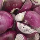 Red Onion and British Plum Chutney - Fruits of the Forage - 200g