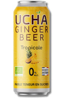 Ginger Beer Tropical - Ucha Kombucha - 330ml
