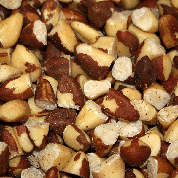 Broken Brazil Nuts