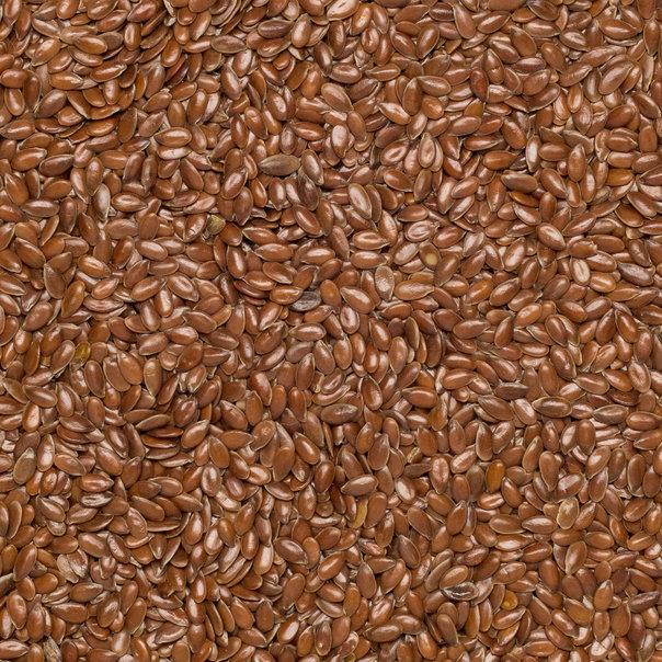 Wholefood Earth: Brown Linseed/Flaxseed | GMO Free | Natural | Vegan | Dairy Free | No Added Sugar - Wholefood Earth® - 5056351407901
