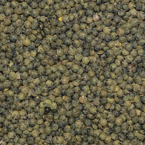 Wholefood Earth: Dark Speckled Lentils | GMO Free | Natural | Vegan | Dairy Free | No Added Sugar - Wholefood Earth® - 5056351403323