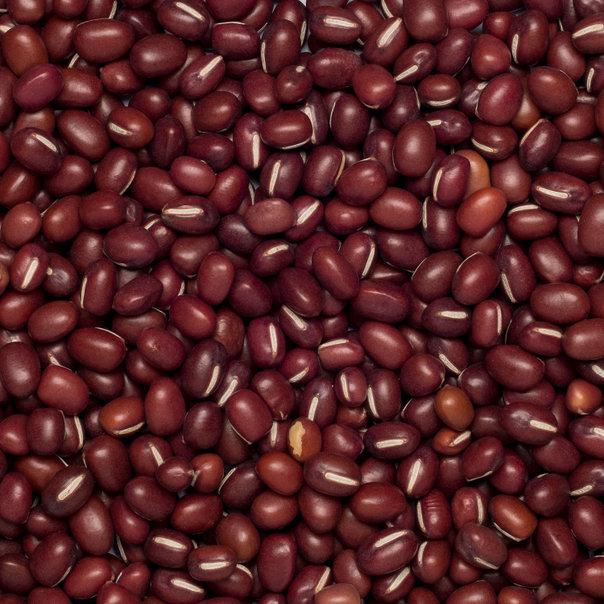 Wholefood Earth: Organic Aduki Beans | GMO Free - Wholefood Earth®