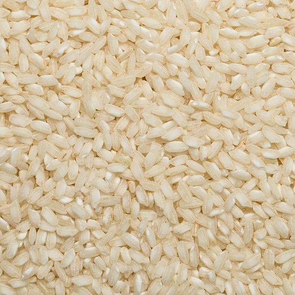 Wholefood Earth: Organic Arborio Rice | Raw | GMO Free | Vegan | No additives - Wholefood Earth®