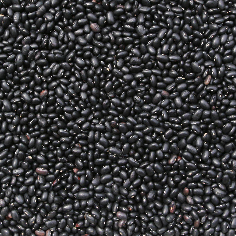 Wholefood Earth: Organic Black Turtle Beans | Raw | GMO Free - Wholefood Earth®