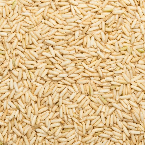 Wholefood Earth: Organic Brown Glutinous Long Rice | GMO Free | EcoSocial | Vegan | Raw - Wholefood Earth®