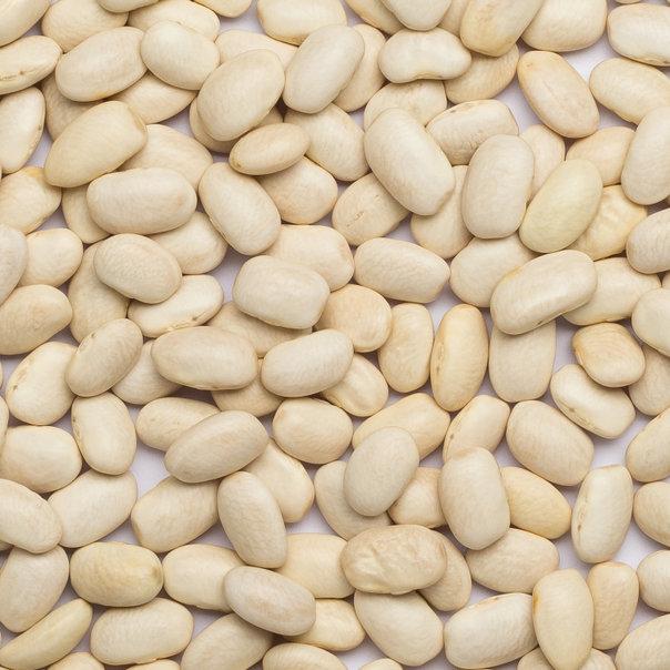 Wholefood Earth: Organic Haricot Beans | Raw | Vegan | GMO Free | Dried - Wholefood Earth®