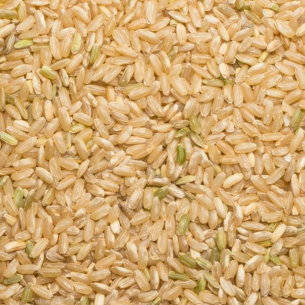 Wholefood Earth: Organic Long Grain Brown Rice | GMO Free - Wholefood Earth®