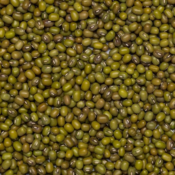 Wholefood Earth: Organic Mung Beans | GMO Free - Wholefood Earth®