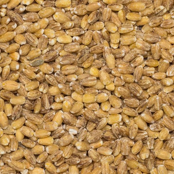 Wholefood Earth: Organic Pearl Barley | Vegan | GMO Free - Wholefood Earth®