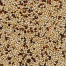 Wholefood Earth: Organic Quinoa Grain (Tricolour) | Raw | GMO Free | Vegan - Wholefood Earth®