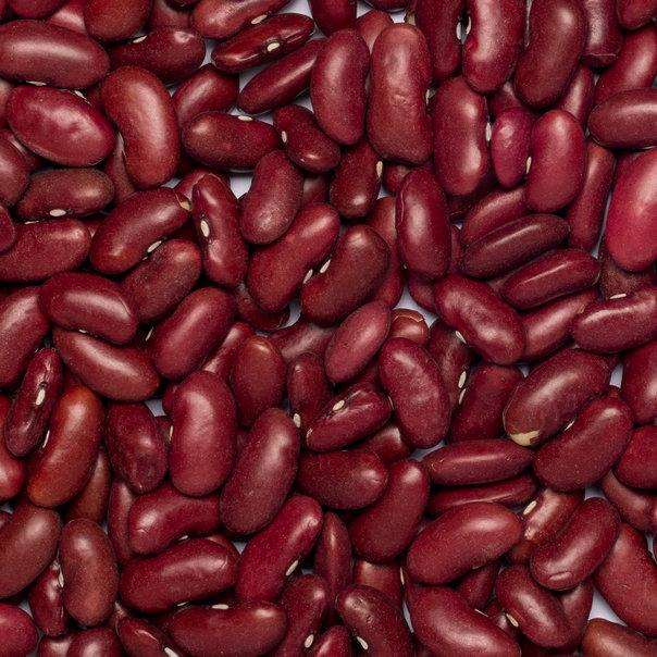 Wholefood Earth: Organic Red Kidney Beans | Raw | Vegan | GMO Free | Dark Red - Wholefood Earth®