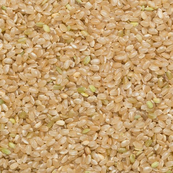 Wholefood Earth: Organic Short Grain Brown Rice | GMO Free - Wholefood Earth®