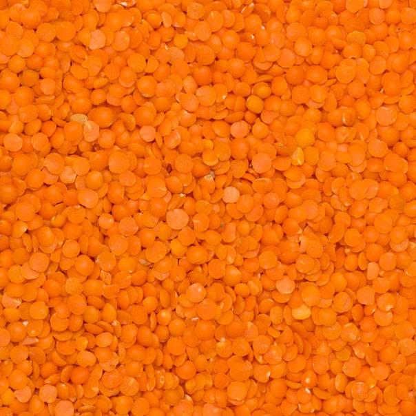 Wholefood Earth: Red Split Lentils | GMO Free | Natural | Vegan | Dairy Free | No Added Sugar - Wholefood Earth® - 5056351403361